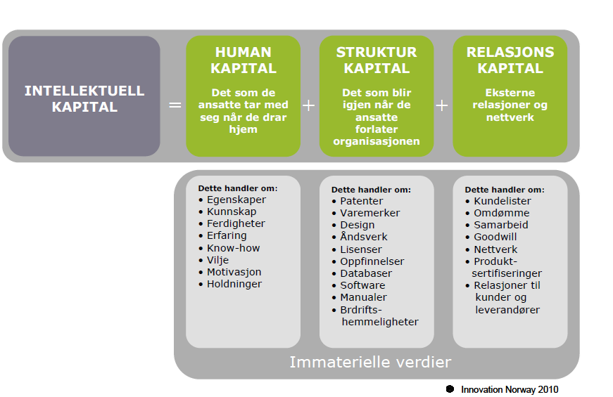 3. BEGREPSAVKLARINGER Immaterielle verdier og rettigheter Begrepet immaterielle verdier omhandler eiendeler som ikke er av fysisk substans og som i en virksomhet vanligvis er et resultat av