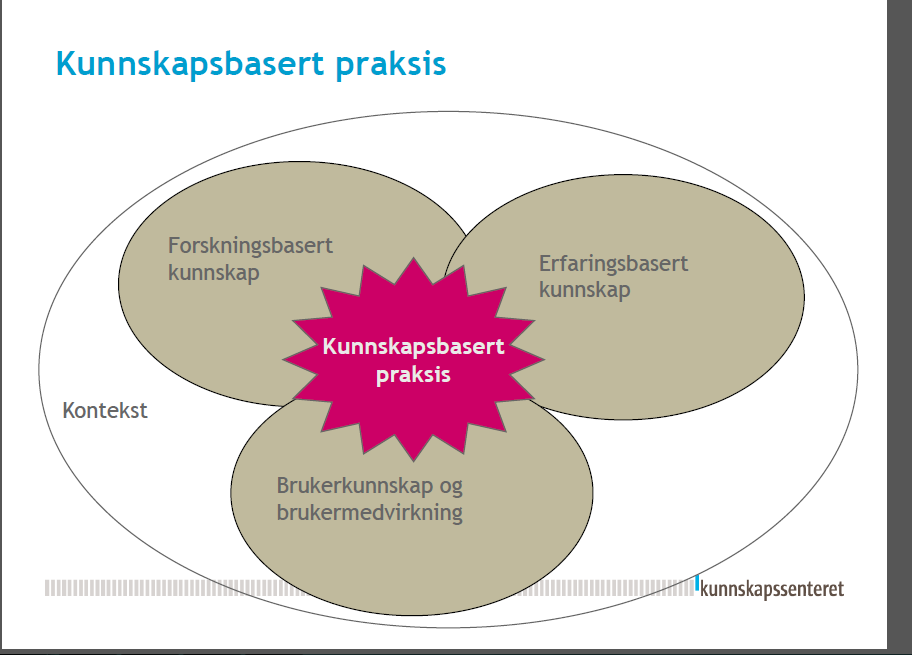 Kunnskapsbasert praksis Visjonen et helhetlig menneskesyn, et helhetlig helsebegrep. Det beste for pasienten! Mangler erfaringsbasert kunnskap.