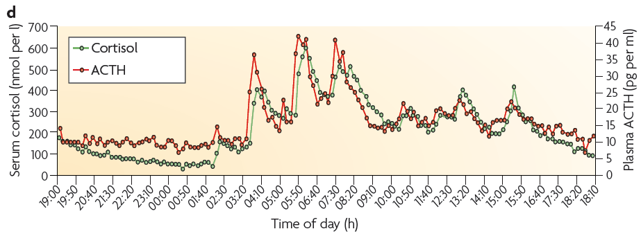 Normal fysiologi Diurnal rytme Ultradian rytme ( secretory bursts ) Stor