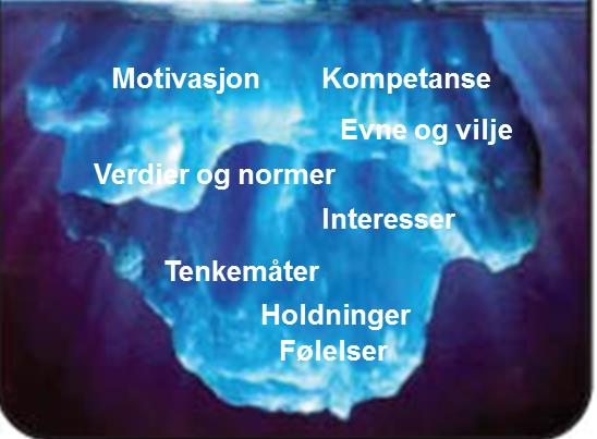 Oppfølging Rapporteringskrav Opplæring IK-tiltak Styrende