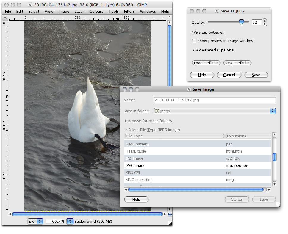 Eksport av bilde til JPEG med Gimp (Mac) For å kunne bruke Gimp under Apples OS X versjon 10.5.8 eller tidligere må X Windows (X11R6) være installert.