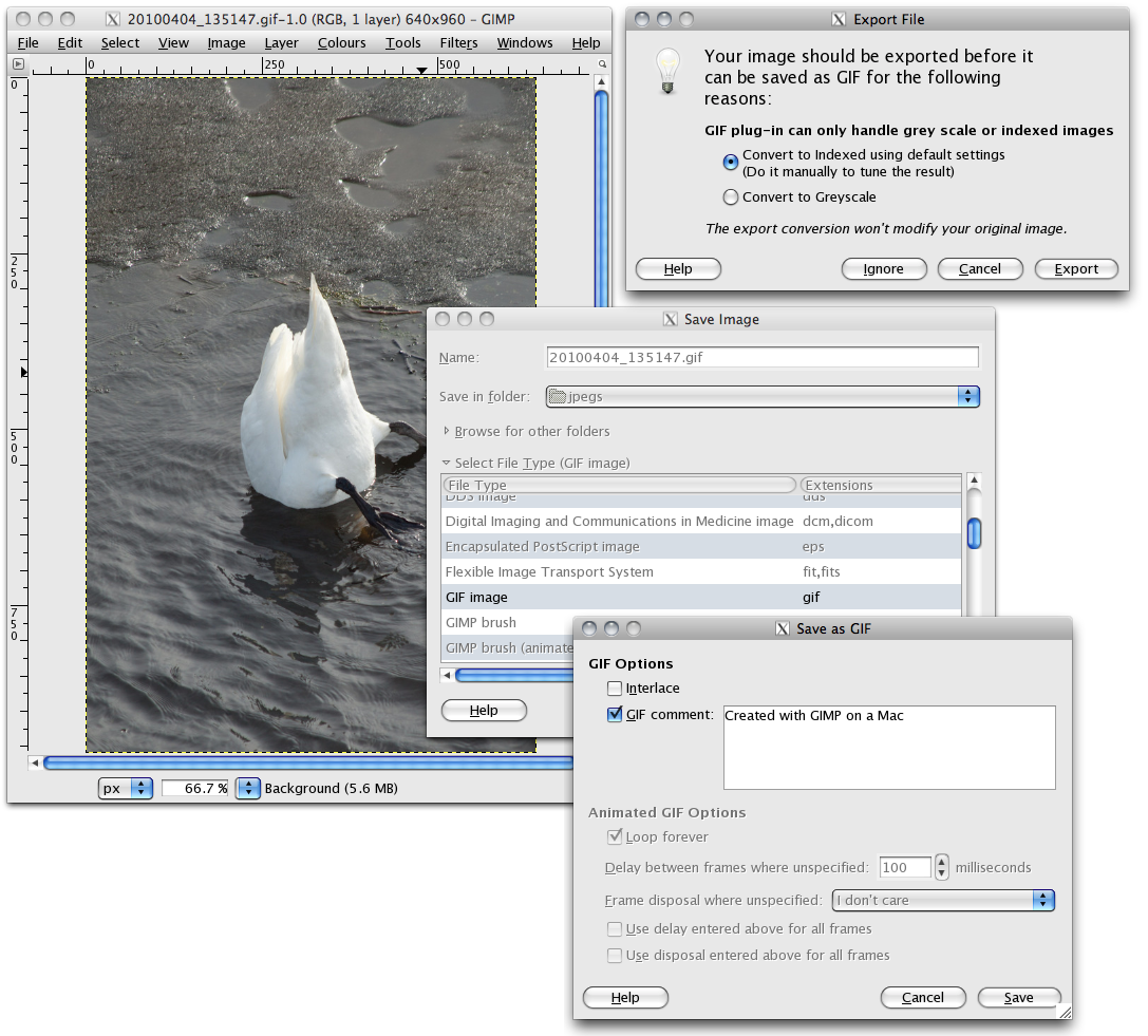 Eksport av bilde til GIF med Gimp (Mac) Eksport av bilde til GIF (.gif) med Gimp. 1. Åpne bildet du vil lagre eller eksportere i Gimp. 2. Velg menyen File > Save As... 3.