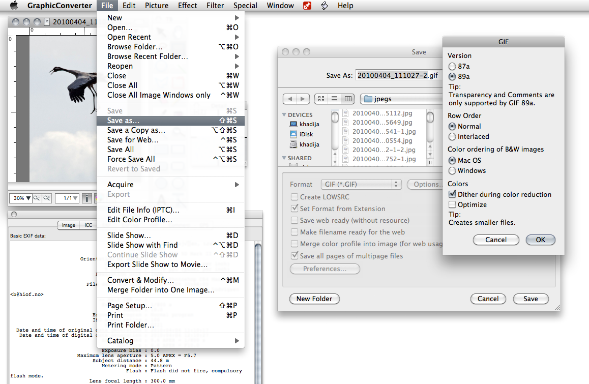 Eksport av bilde til GIF med Graphic Converter (Mac) Eksport av bilde til GIF (.gif) med Graphic Converter. 1. Åpne bildet du vil lagre eller eksportere. 2. Velg menyen File > Save As... 3.