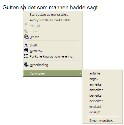 Bruk av synonymordbok