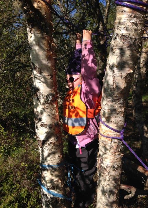 Ved lavvoen vår var det en flott liten skog med fine klatretrær.