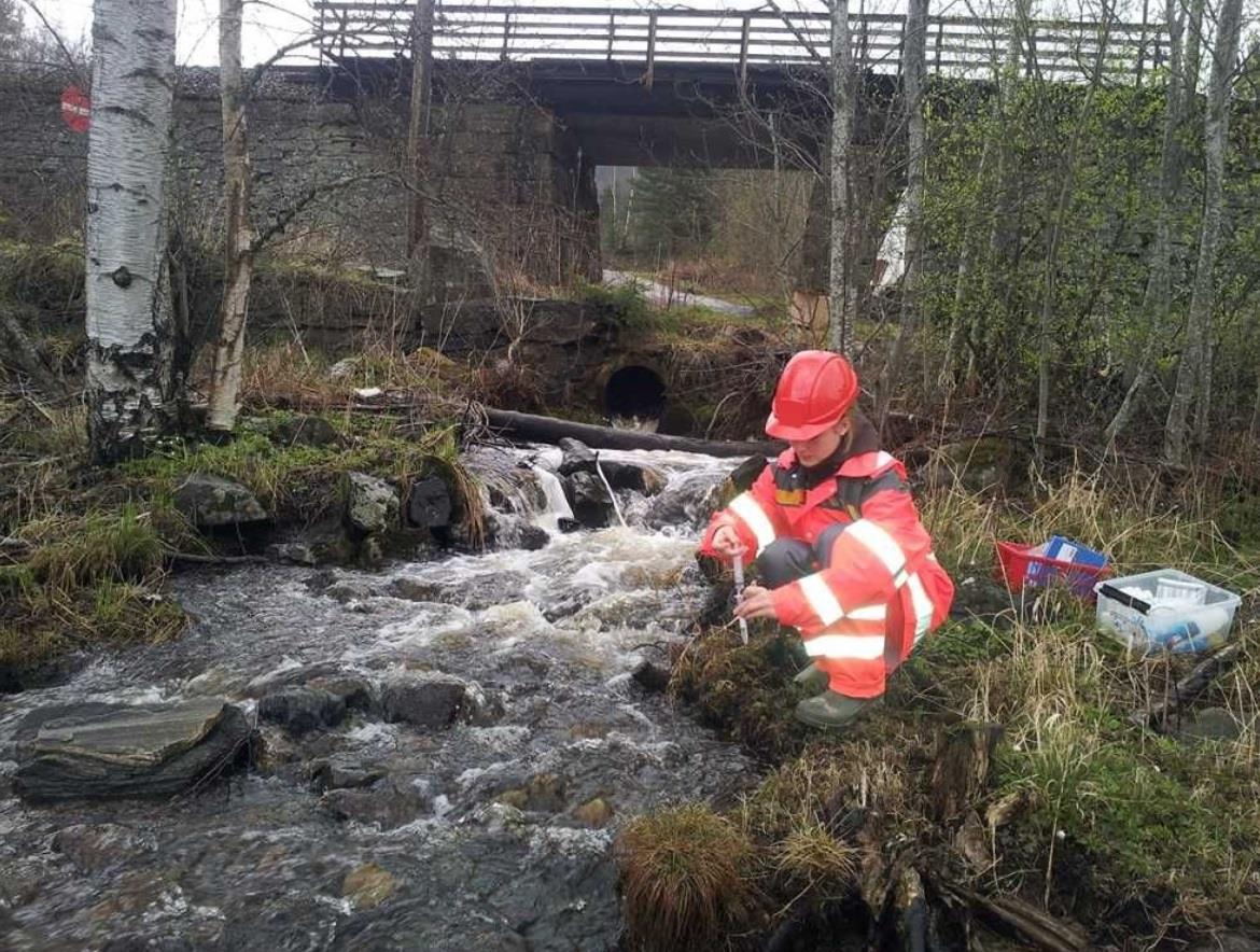 Anleggsvirksomhet og påvirkning på bekkesystemer En undersøkelse av metallavrenning og