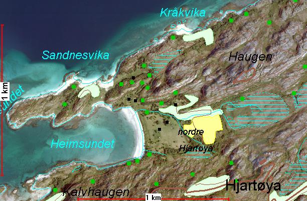 Hjartøya Hjartøya