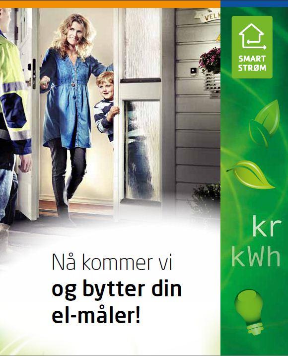 Vi bygger grønn EB-profil for Smart