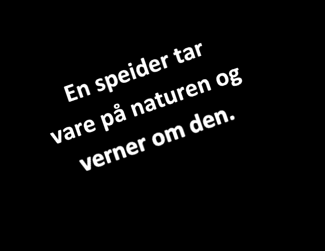 Tids plan 2016 Fredag: 16.00 Innsjekk 16.00 Bygging av leir 20.00 Leirbål 21.30 Ledermøte 22.00 Rosignal 23.00 Ro i leiren Lørdag: 07.00 Revelj 08.