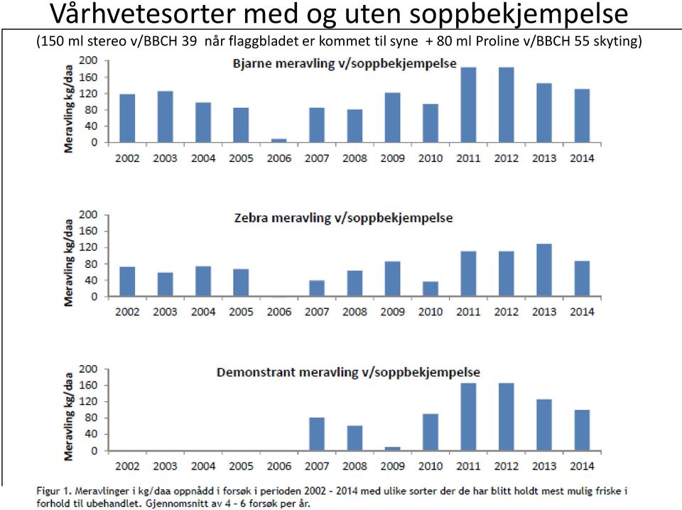 v/bbch 39 når flaggbladet er