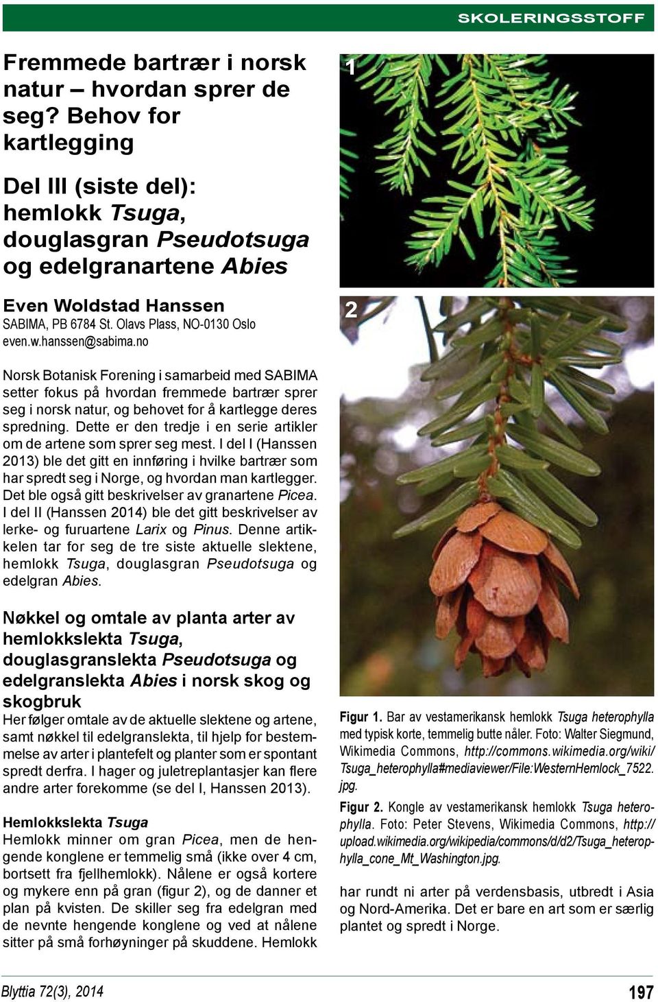 no 2 Norsk Botanisk Forening i samarbeid med SABIMA setter fokus på hvordan fremmede bartrær sprer seg i norsk natur, og behovet for å kartlegge deres spredning.