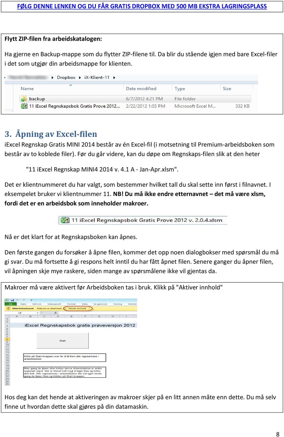 Åpning av Excel-filen iexcel Regnskap Gratis MINI 2014 består av én Excel-fil (i motsetning til Premium-arbeidsboken som består av to koblede filer).