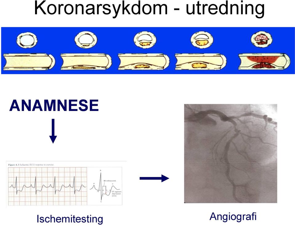 ANAMNESE