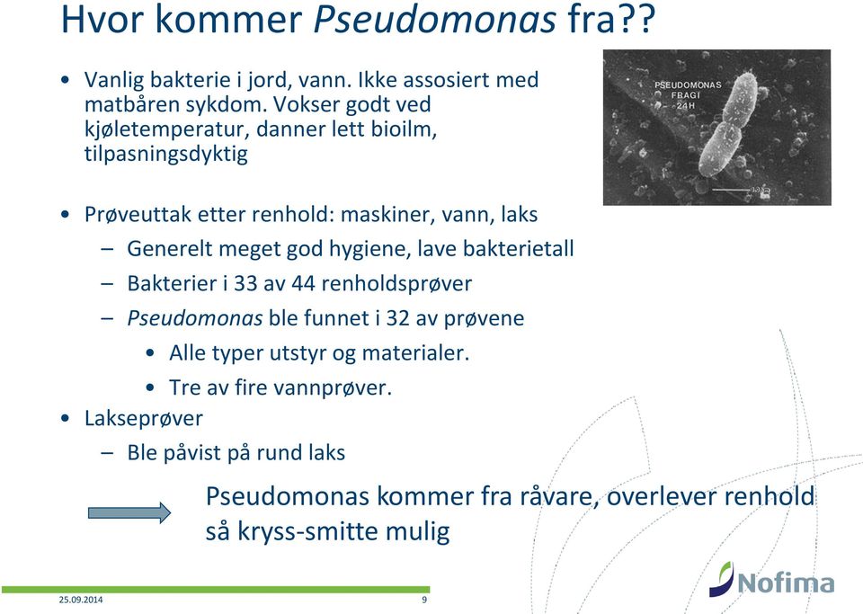 meget god hygiene, lave bakterietall Bakterier i 33 av 44 renholdsprøver Pseudomonas ble funnet i 32 av prøvene Alle typer