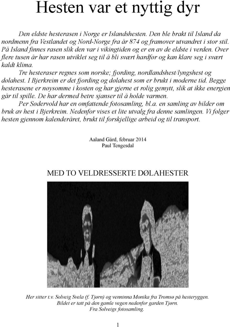 Tre hesteraser regnes som norske; fjording, nordlandshest/lyngshest og dølahest. I Bjerkreim er det fjording og dølahest som er brukt i moderne tid.