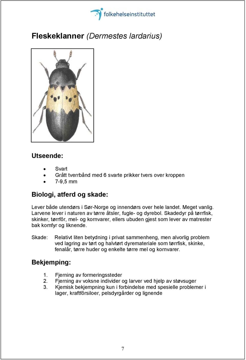 Relativt liten betydning i privat sammenheng, men alvorlig problem ved lagring av tørt og halvtørt dyremateriale som tørrfisk, skinke, fenalår, tørre huder og enkelte tørre mel og kornvarer. 1.