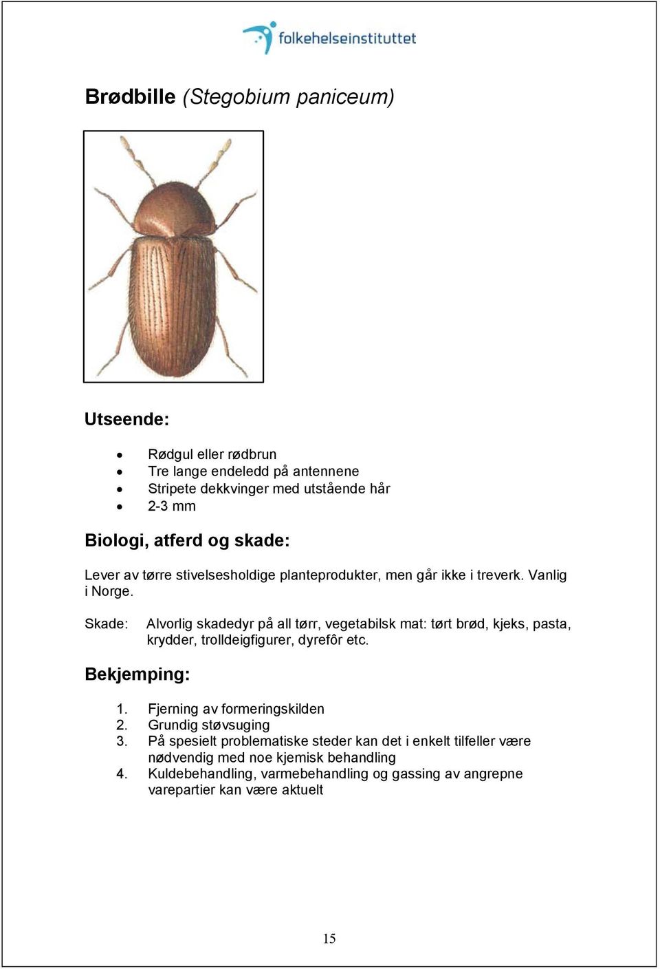 Alvorlig skadedyr på all tørr, vegetabilsk mat: tørt brød, kjeks, pasta, krydder, trolldeigfigurer, dyrefôr etc. 1.