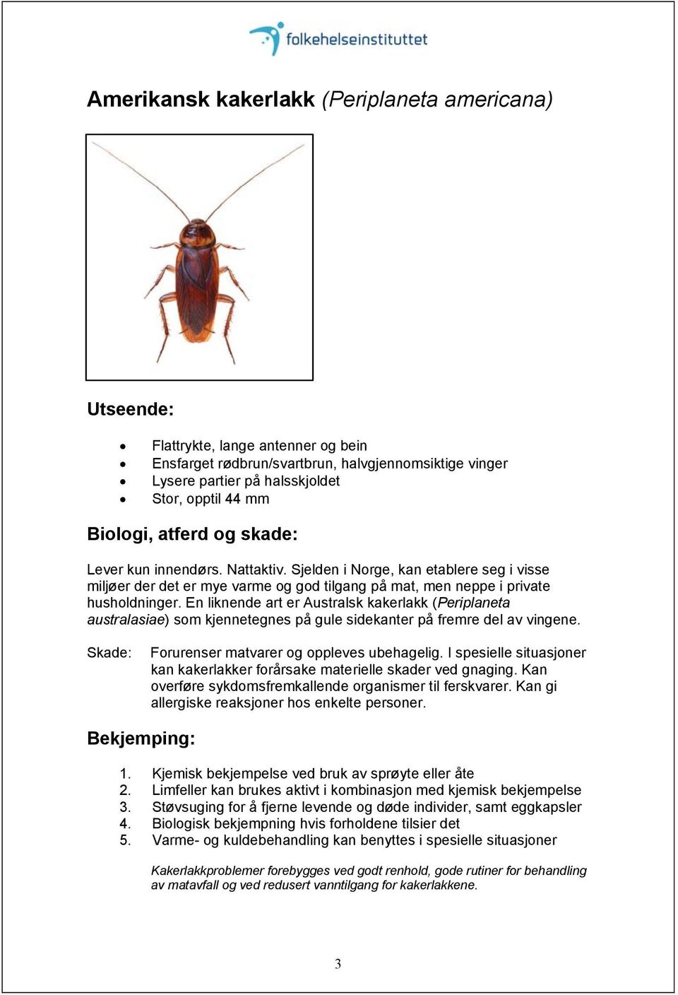 En liknende art er Australsk kakerlakk (Periplaneta australasiae) som kjennetegnes på gule sidekanter på fremre del av vingene. Forurenser matvarer og oppleves ubehagelig.