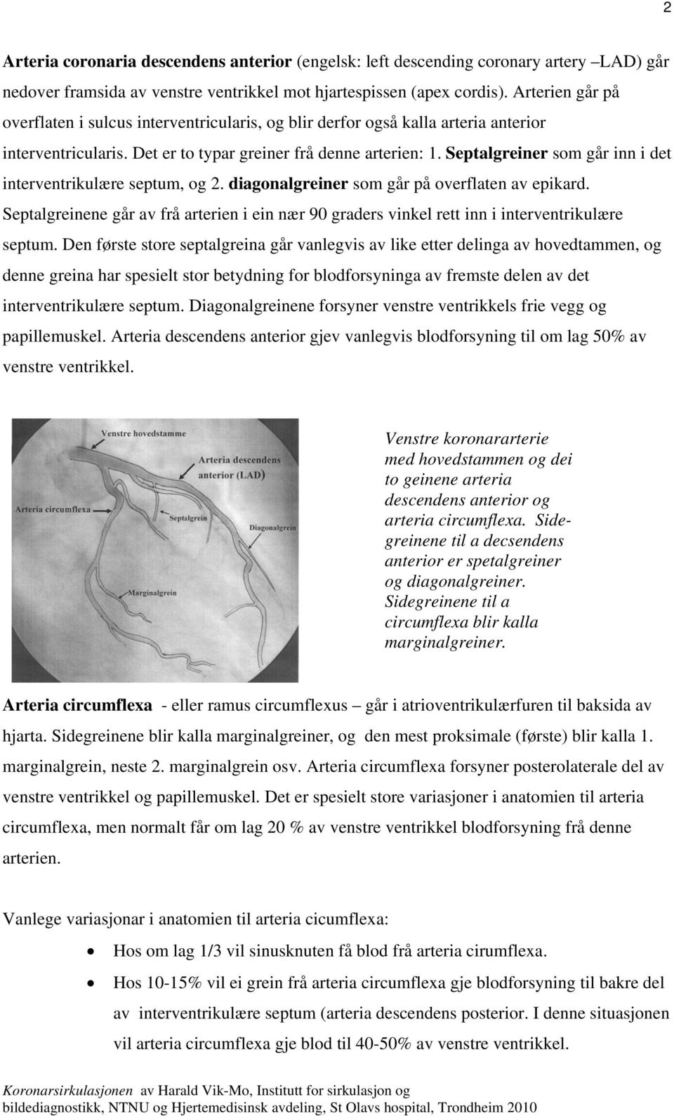 Septalgreiner som går inn i det interventrikulære septum, og 2. diagonalgreiner som går på overflaten av epikard.