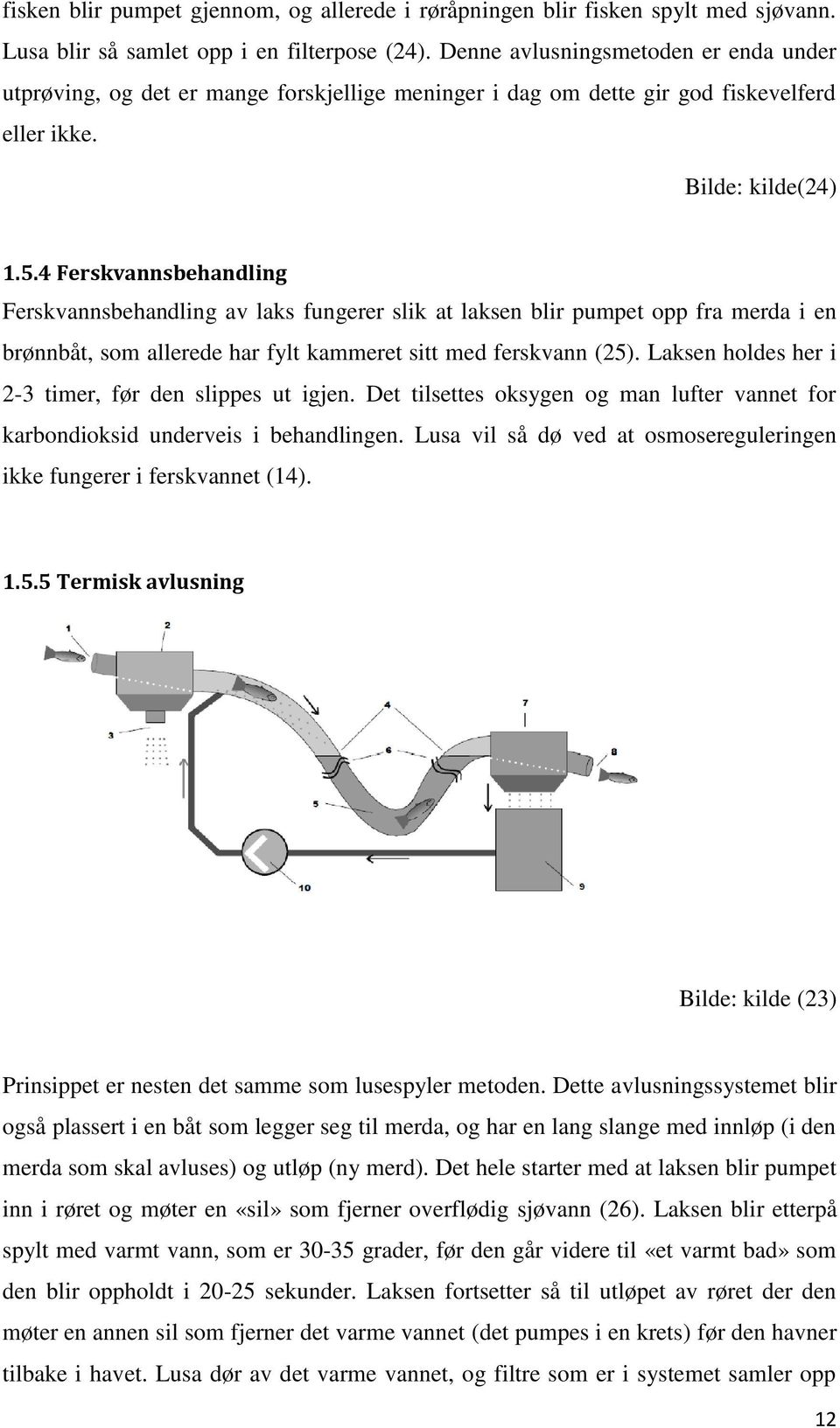 4 Ferskvannsbehandling Ferskvannsbehandling av laks fungerer slik at laksen blir pumpet opp fra merda i en brønnbåt, som allerede har fylt kammeret sitt med ferskvann (25).