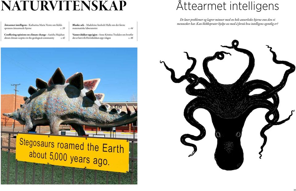 42 Blanke ark - Madeleine Innholt Halle om det første matematiske laboratoriet s.