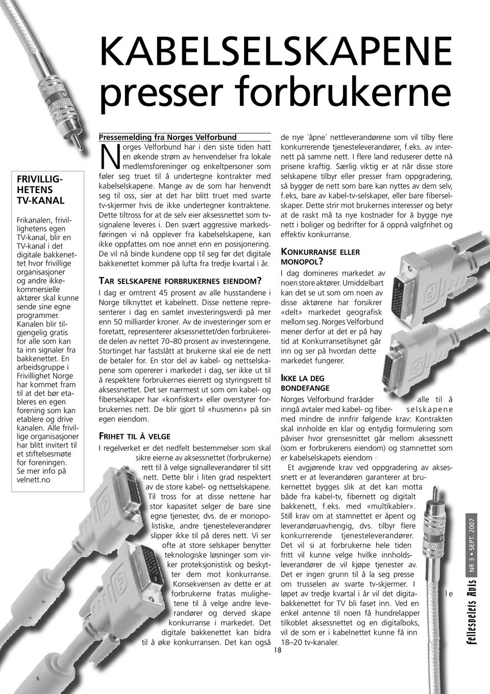 En arbeidsgruppe i Frivillighet Norge har kommet fram til at det bør etableres en egen forening som kan etablere og drive kanalen.