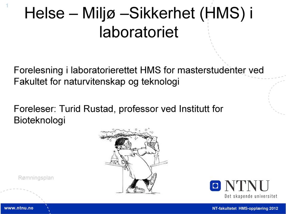 ved Fakultet for naturvitenskap og teknologi Foreleser: