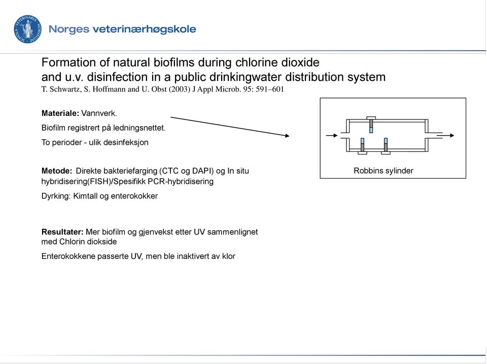 To perioder - ulik desinfeksjon Metode: Direkte bakteriefarging (CTC og DAPI) og In situ hybridisering(fish)/spesifikk PCR-hybridisering