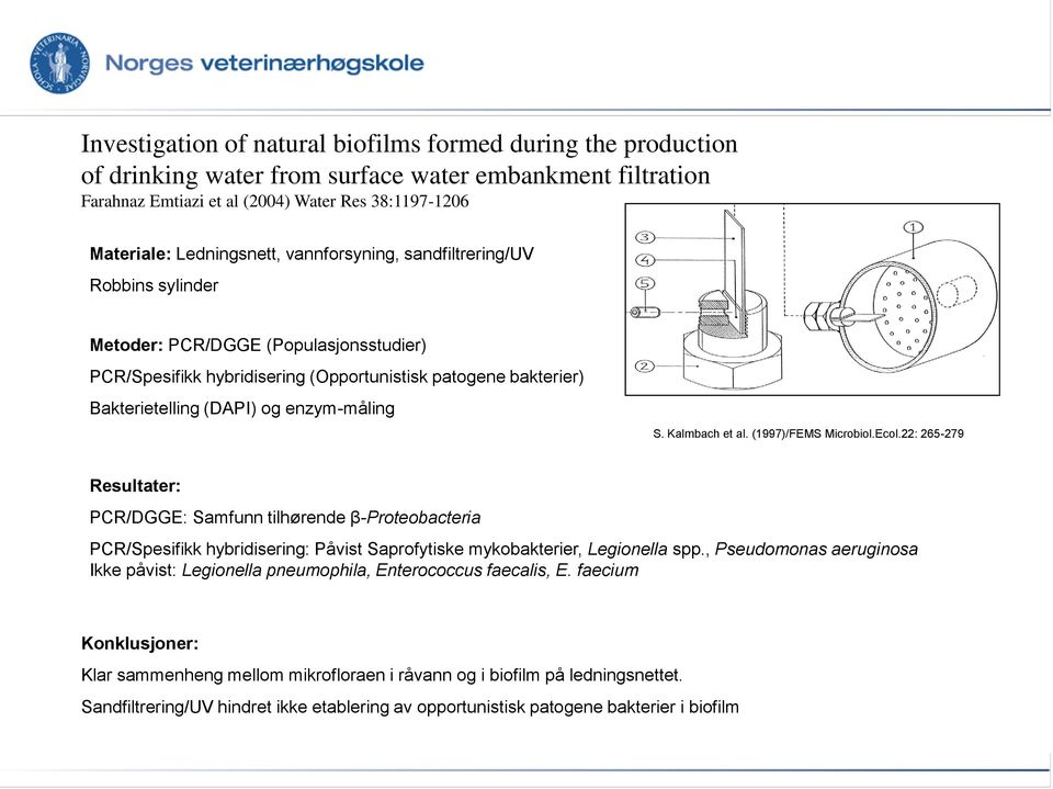 Kalmbach et al. (1997)/FEMS Microbiol.Ecol.22: 265-279 Resultater: PCR/DGGE: Samfunn tilhørende β-proteobacteria PCR/Spesifikk hybridisering: Påvist Saprofytiske mykobakterier, Legionella spp.