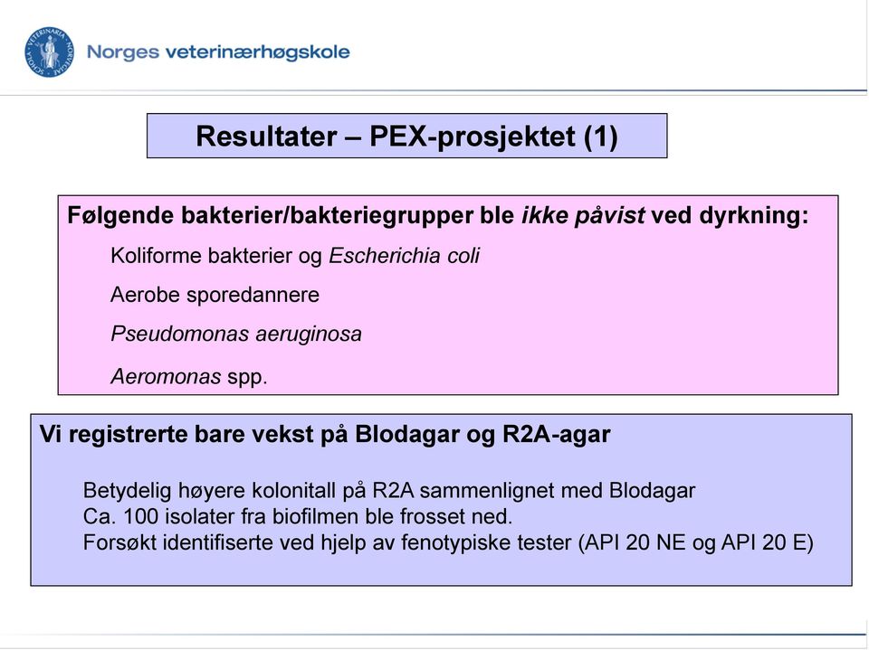 Vi registrerte bare vekst på Blodagar og R2A-agar Betydelig høyere kolonitall på R2A sammenlignet med