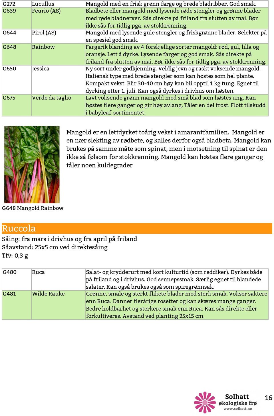 Mangold med lysende gule stengler og friskgrønne blader. Selekter på en spesiel god smak. Fargerik blanding av 4 forskjellige sorter mangold: rød, gul, lilla og oransje. Lett å dyrke.