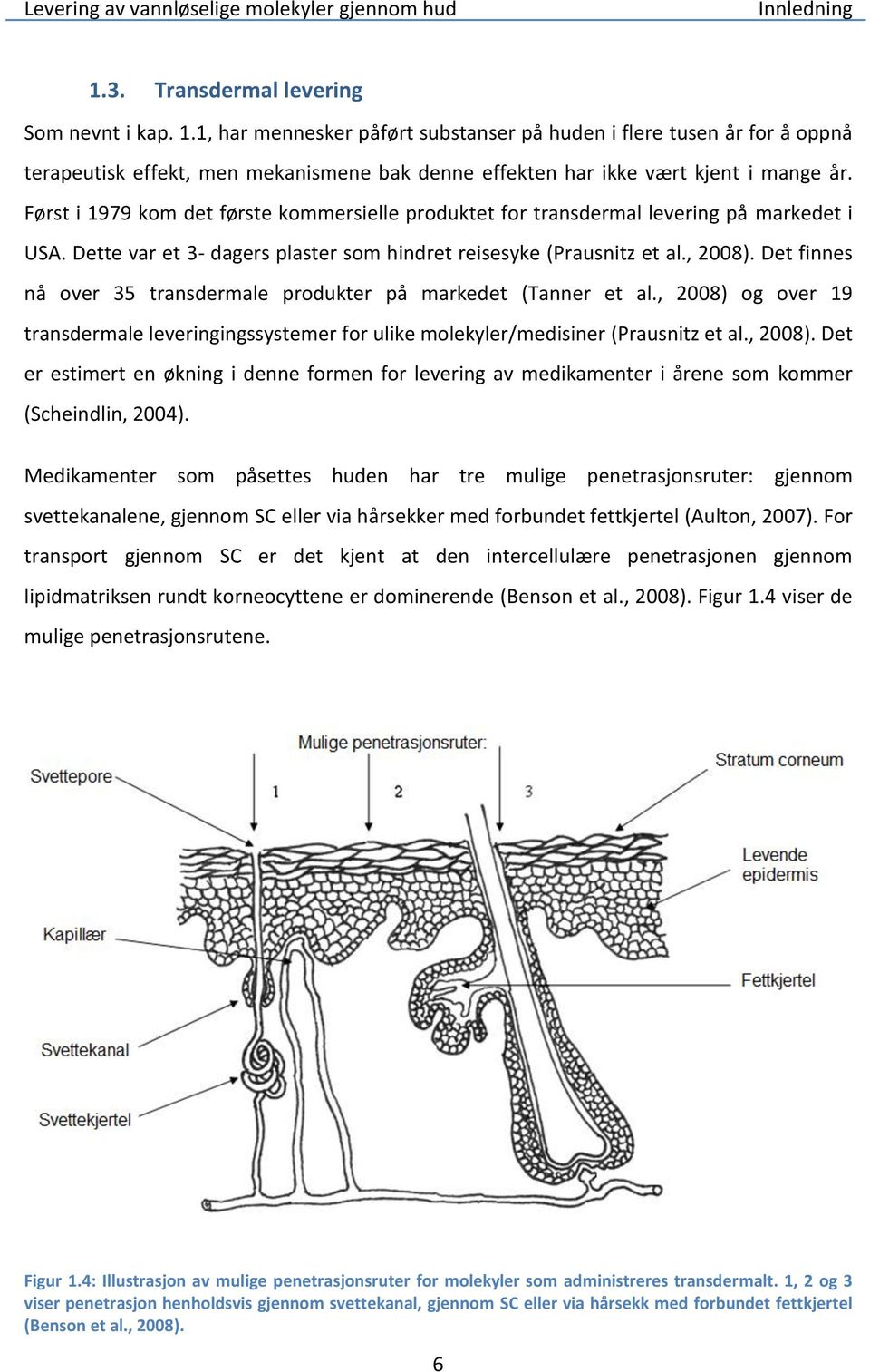 Det finnes nå over 35 transdermale produkter på markedet (Tanner et al., 2008) og over 19 transdermale leveringingssystemer for ulike molekyler/medisiner (Prausnitz et al., 2008). Det er estimert en økning i denne formen for levering av medikamenter i årene som kommer (Scheindlin, 2004).