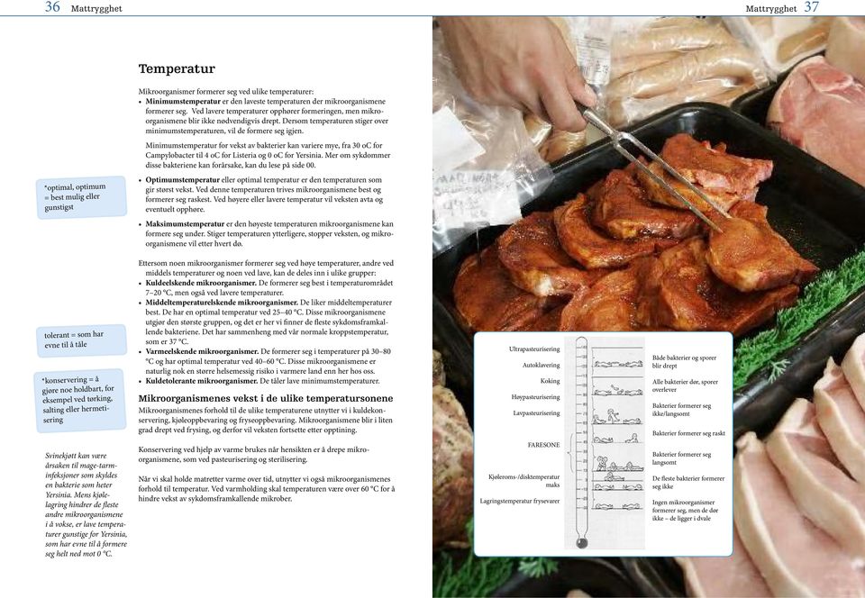 Minimumstemperatur for vekst av bakterier kan variere mye, fra 30 oc for Campylobacter til 4 oc for Listeria og 0 oc for Yersinia.