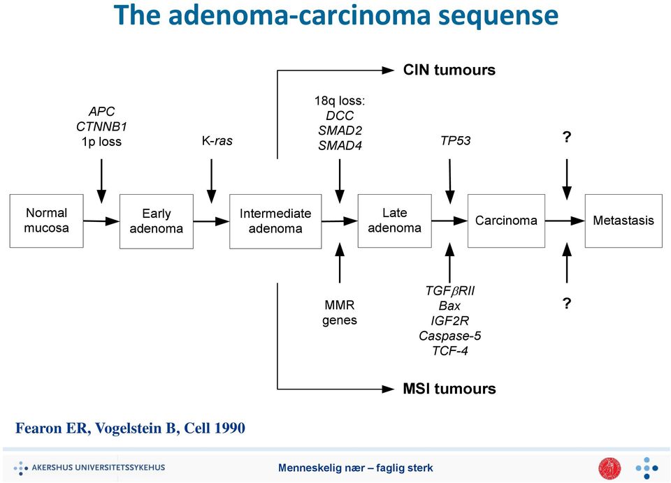 Normal mucosa Early adenoma Intermediate adenoma Late adenoma