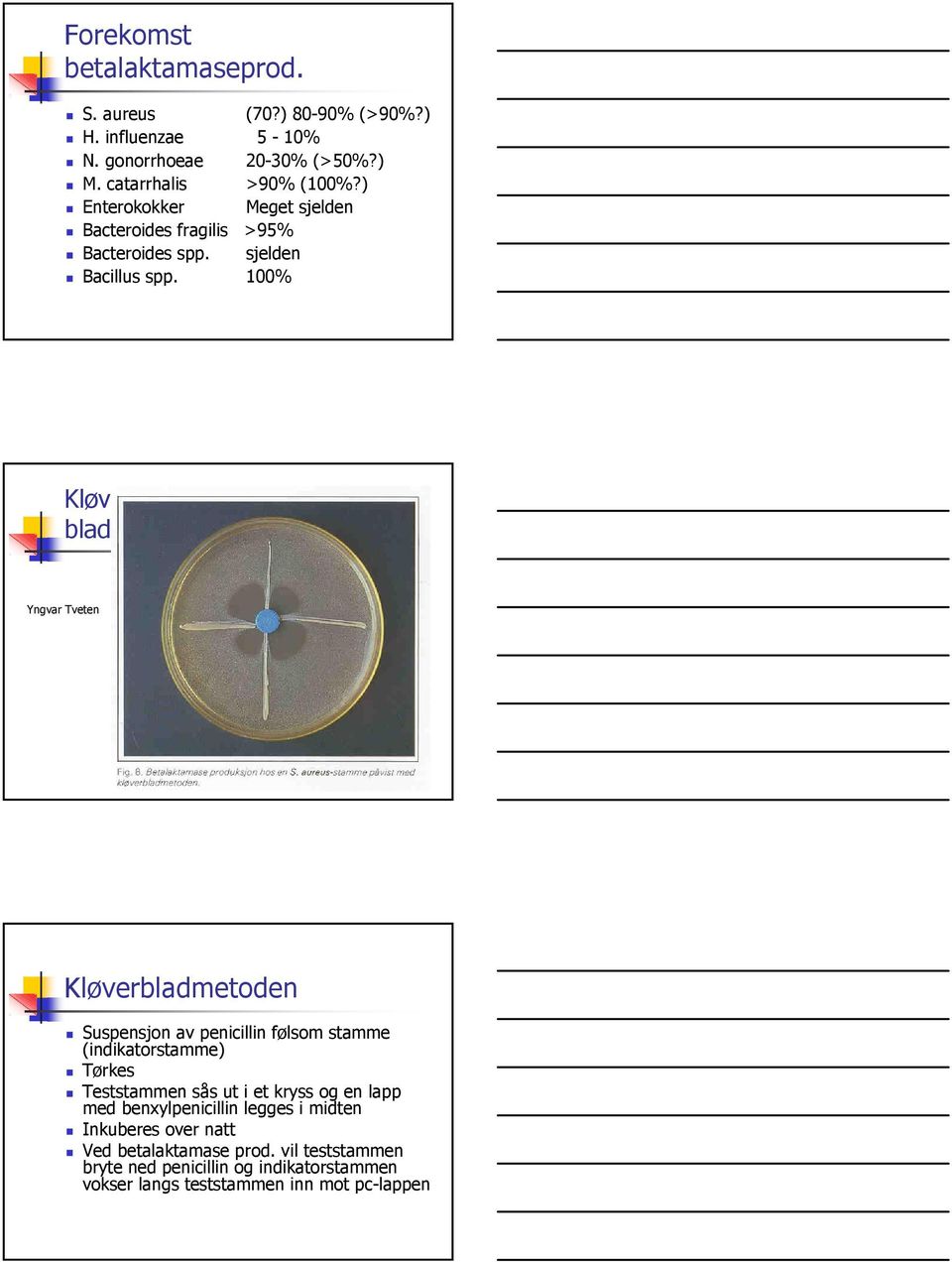 100% Kløverblad Yngvar Tveten Kløverbladmetoden Suspensjon av penicillin følsom stamme (indikatorstamme) Tørkes Teststammen sås ut i et