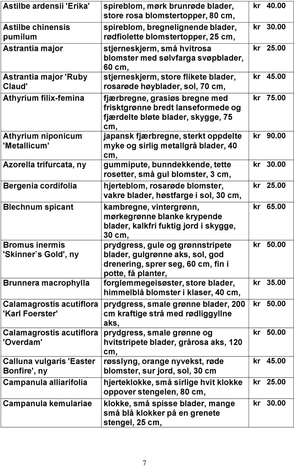 alliarifolia Campanula kemulariae spireblom, mørk brunrøde blader, store rosa blomstertopper, 80 spireblom, bregnelignende blader, rødfiolette blomstertopper, 25 stjerneskjerm, små hvitrosa blomster