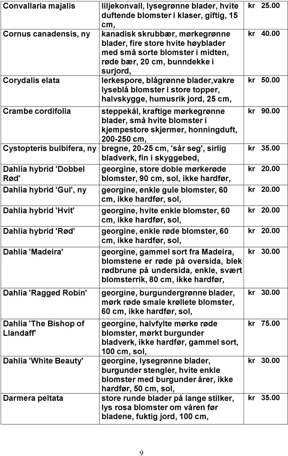 steppekål, kraftige mørkegrønne blader, små hvite blomster i kjempestore skjermer, honningduft, 200-250 Cystopteris bulbifera, ny bregne, 20-25 'sår seg', sirlig bladverk, fin i skyggebed, Dahlia