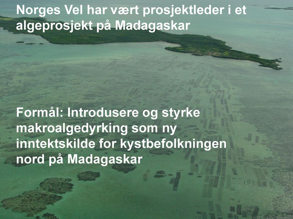 Introdusere og styrke makroalgedyrking som