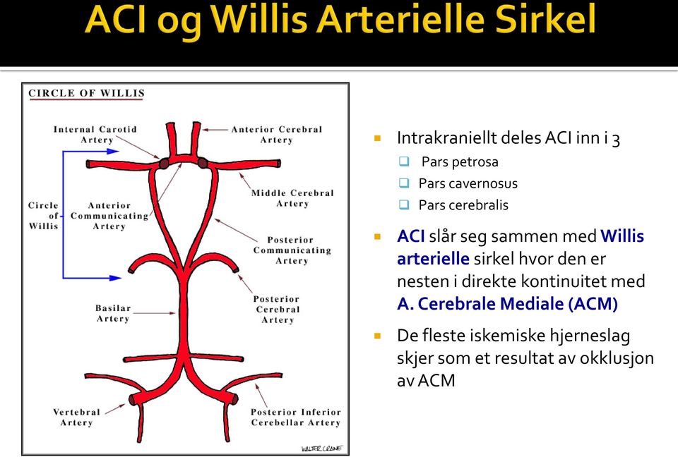 den er nesten i direkte kontinuitet med A.