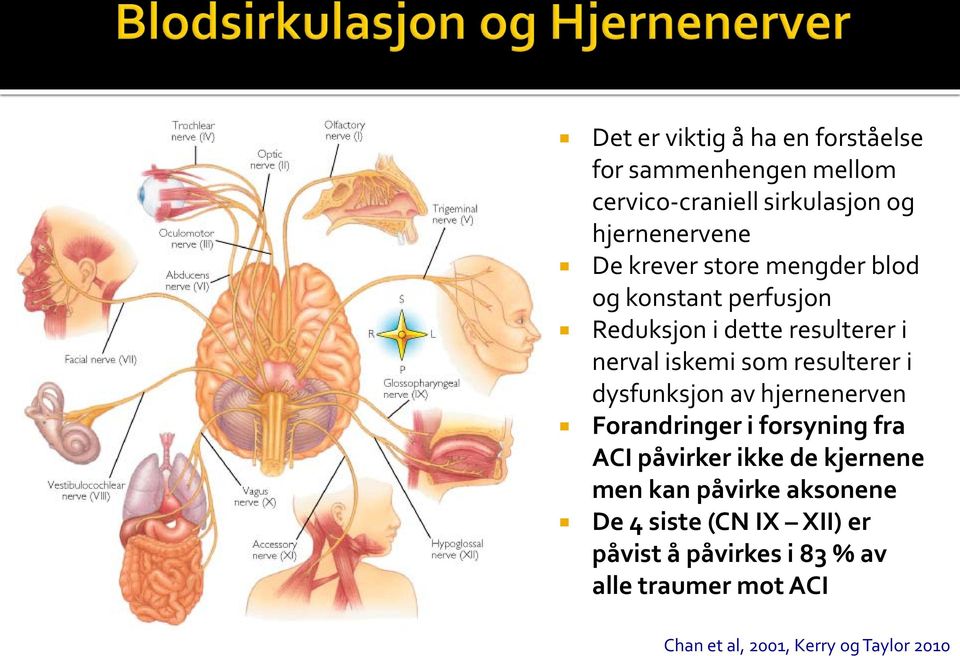 dysfunksjon av hjernenerven Forandringer i forsyning fra ACI påvirker ikke de kjernene men kan påvirke