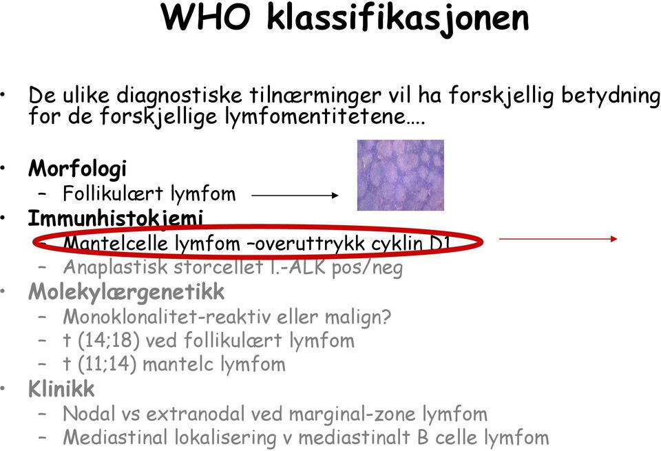 Morfologi Follikulært lymfom Immunhistokjemi Mantelcelle lymfom overuttrykk cyklin D1 Anaplastisk storcellet l.