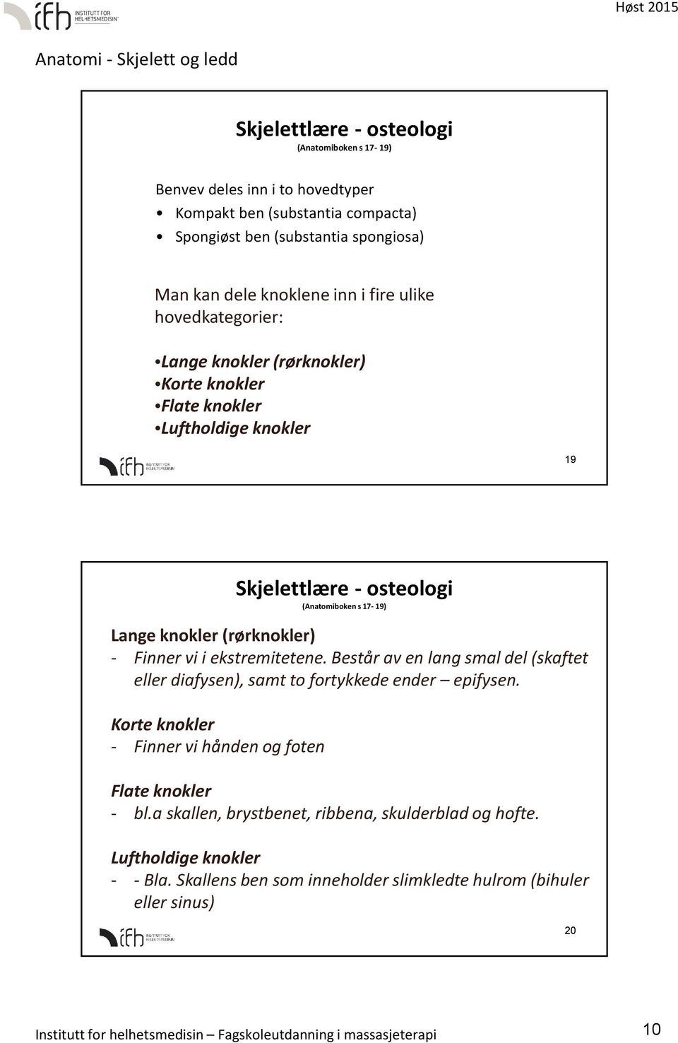 ekstremitetene. Består av en lang smal del (skaftet eller diafysen), samt to fortykkede ender epifysen. Korte knokler - Finner vi hånden og foten Flate knokler - bl.