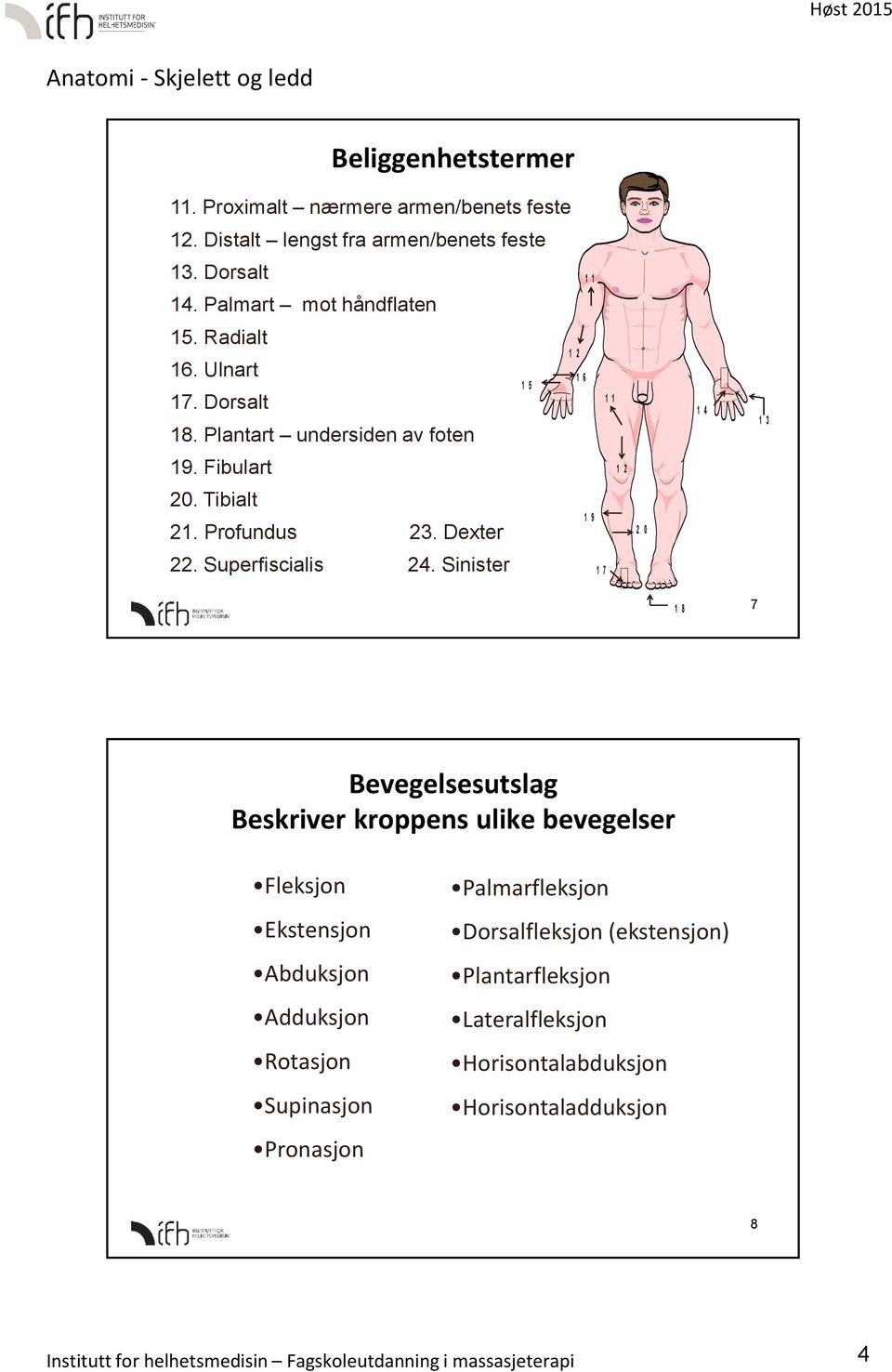 Sinister 1 7 1 8 7 Bevegelsesutslag Beskriver kroppens ulike bevegelser Fleksjon Ekstensjon Abduksjon Adduksjon Rotasjon Supinasjon Pronasjon Palmarfleksjon