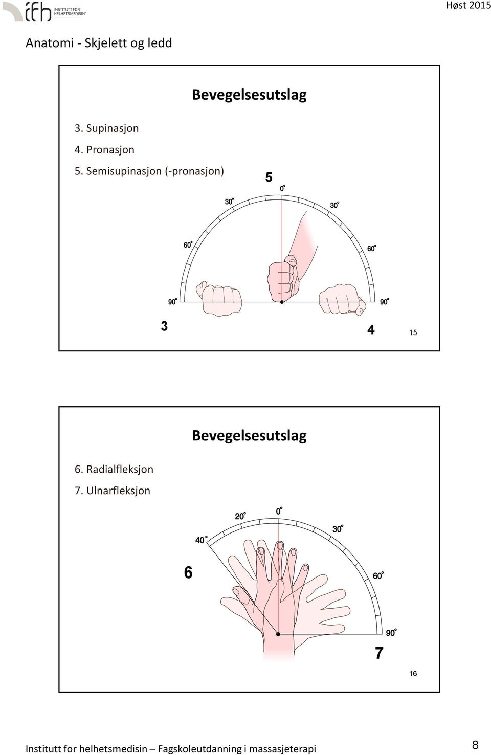 Bevegelsesutslag 6. Radialfleksjon 7.