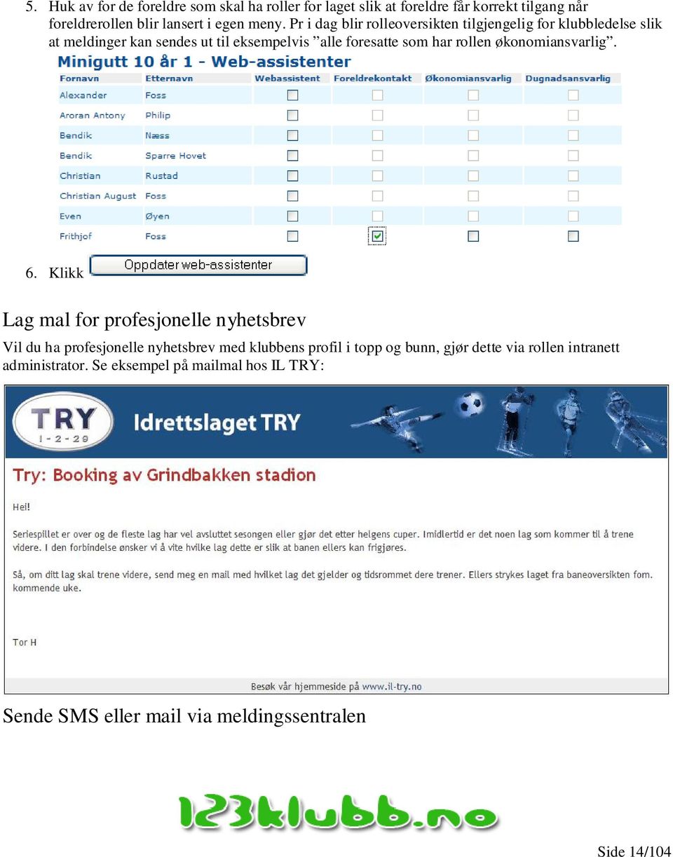 rollen økonomiansvarlig. 6.