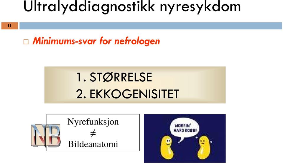 for nefrologen 1. STØRRELSE 2.