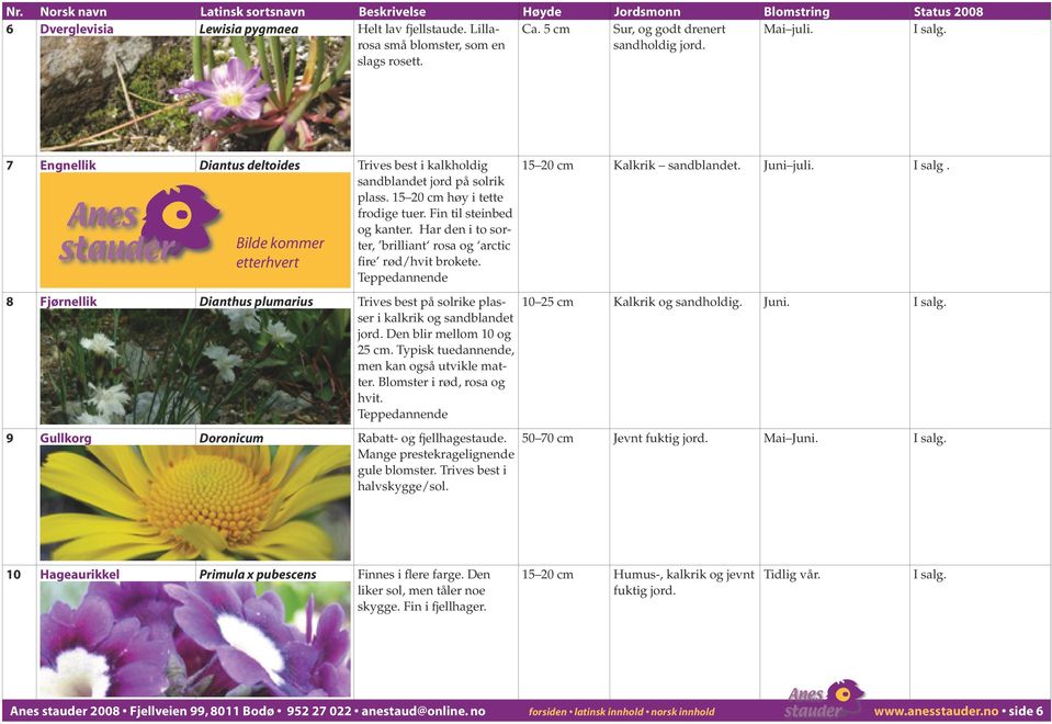 Har den i to sorter, brilliant rosa og arctic fire rød/hvit brokete. Teppedannende 8 Fjørnellik Dianthus plumarius Trives best på solrike plasser i kalkrik og sandblandet jord.