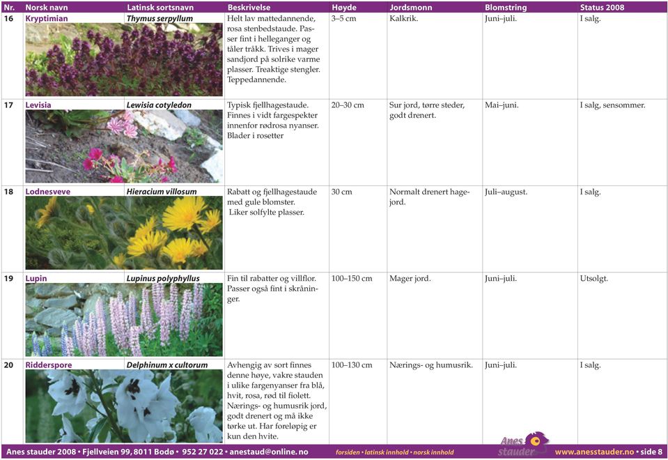 Blader i rosetter 20 30 cm Sur jord, tørre steder, godt drenert. Mai juni. I salg, sensommer. 18 Lodnesveve Hieracium villosum Rabatt og fjellhagestaude med gule blomster. Liker solfylte plasser.