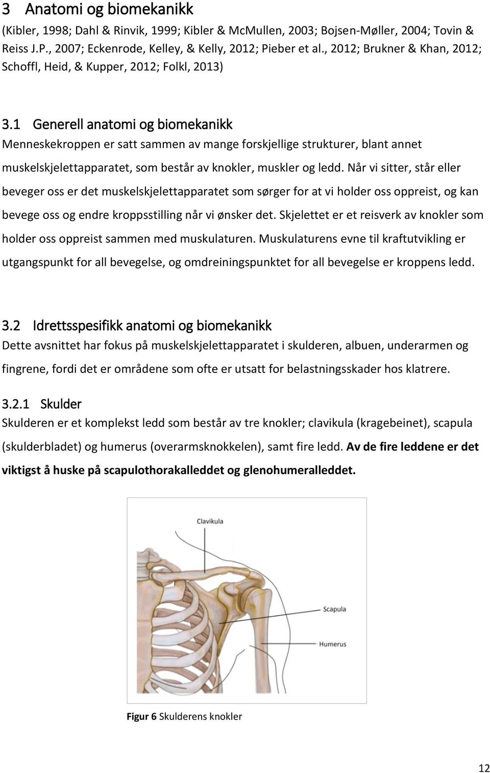 1 Generell anatomi og biomekanikk Menneskekroppen er satt sammen av mange forskjellige strukturer, blant annet muskelskjelettapparatet, som består av knokler, muskler og ledd.