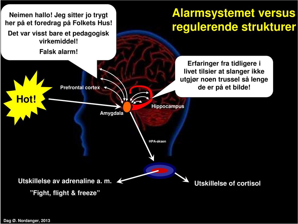 Prefrontal cortex Amygdala Hippocampus Alarmsystemet versus regulerende strukturer Erfaringer fra tidligere